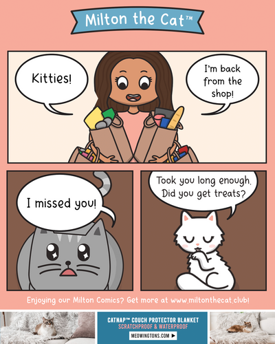 Coming Home: Two Types Of Cats