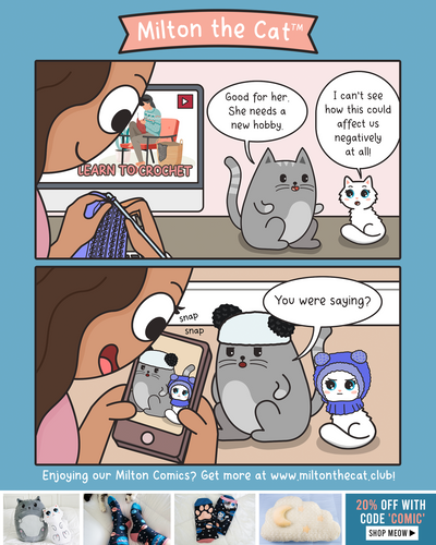 TBT: Cats Circa 2020