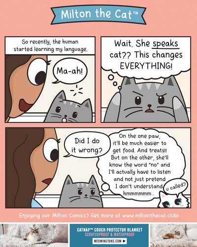 Learning to Speak Cat