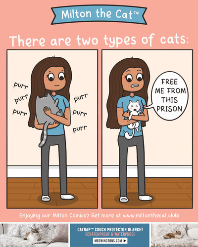 #TBT: When it comes to holding cats...