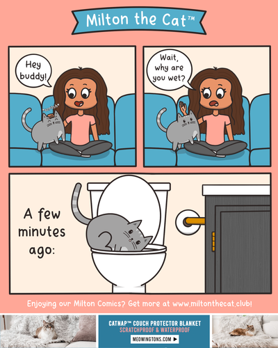 This is Perfectly Fine.