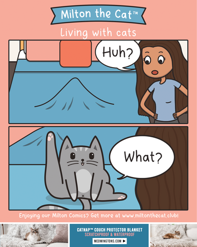 Making Blanket Forts With Milton