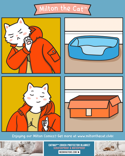 Box is Life