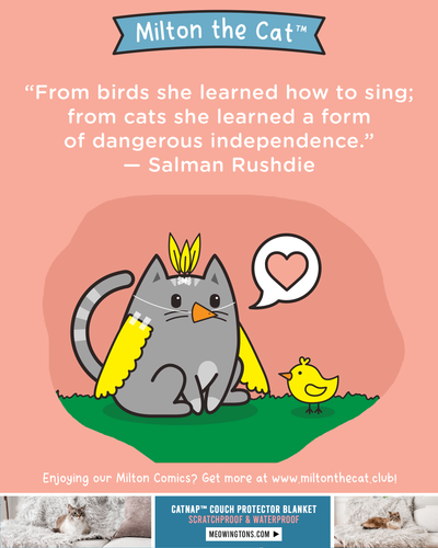 Wednesday Wisdom: