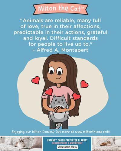 Wednesday Wisdom: Alfred Montapert