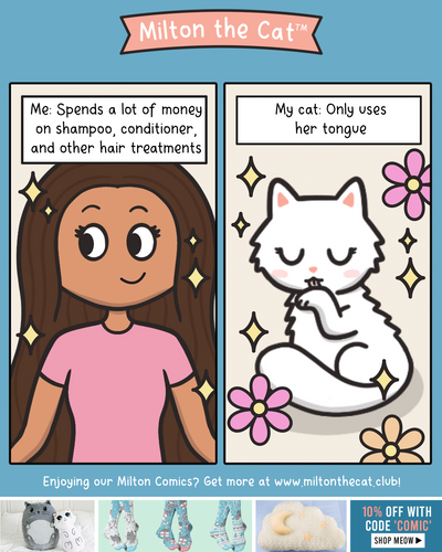 Maybe She's Born With It, Maybe It's Meowbelline
