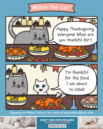 Happy Thanksgiving! Millie is Grateful For...