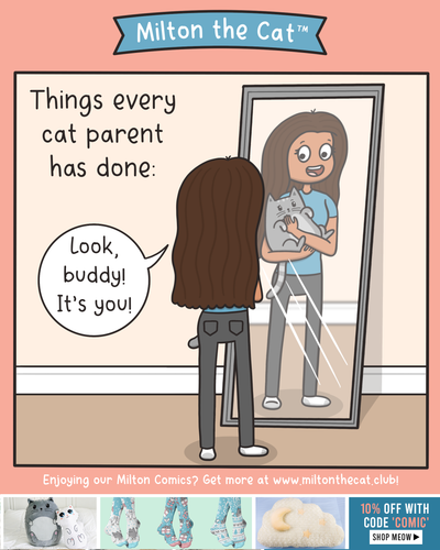 TBT: Bringing Self-Awareness One Cat At a Time