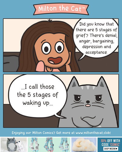 The 5 Stages Of...