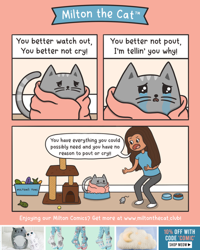 Meowy Christmas Eve!