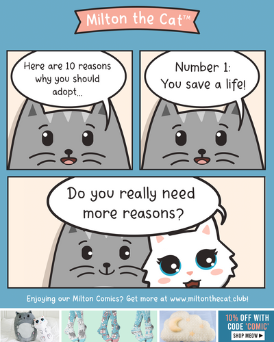 10 Reasons to Adopt