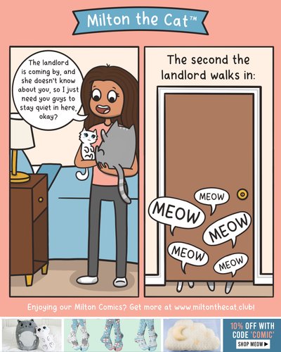 TBT: Landlord Woes