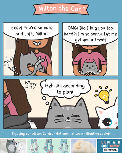 The Meowster Plan