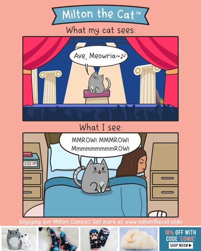 TBT: Cat OPURRA