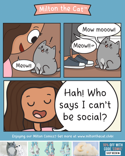 I'm Social! I'm SUPER Social!
