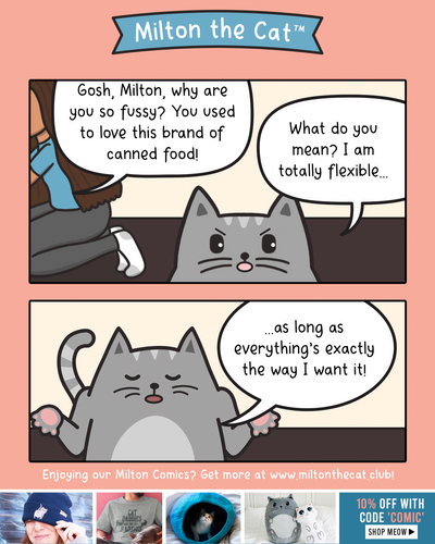 Cats Are DEFINITELY Flexible