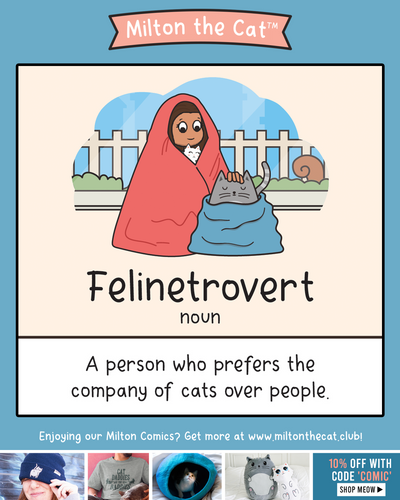 Felinetrovert (n).