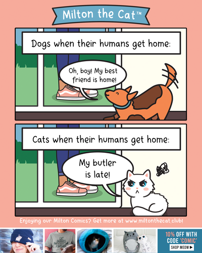 Cat Parents Know It's True