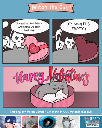 The PURRfect Valentine's Gift