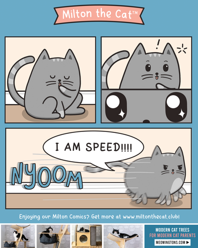 Meanwhile, at 3 AM:
