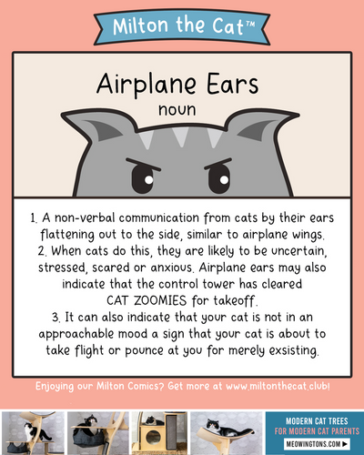 Airplane Ears
