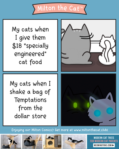 Cat store online best sale