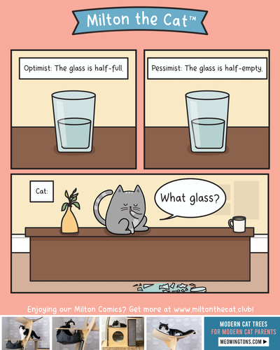 Optimist Vs Pessimist Vs Cat