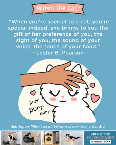 Wednesday Wisdom: