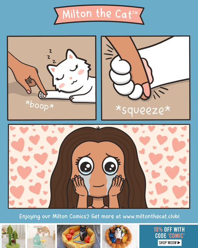 TBT: When Cats Squeeze Your Finger with Their Tiny Peets