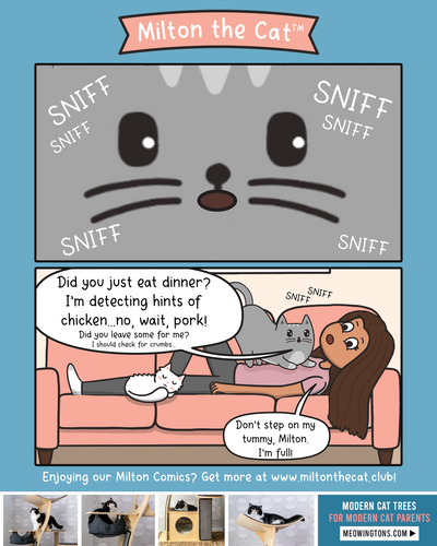 SNIFF SNIFF