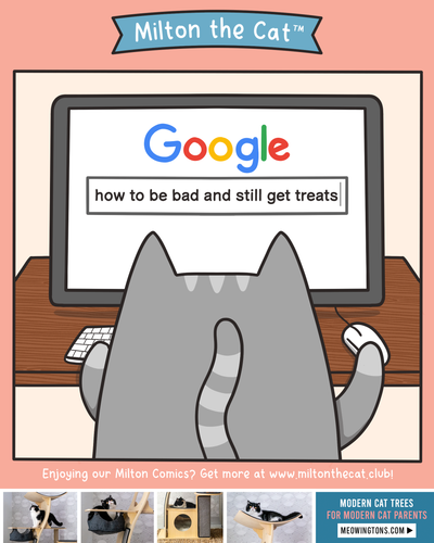 TBT: Be a Cat!