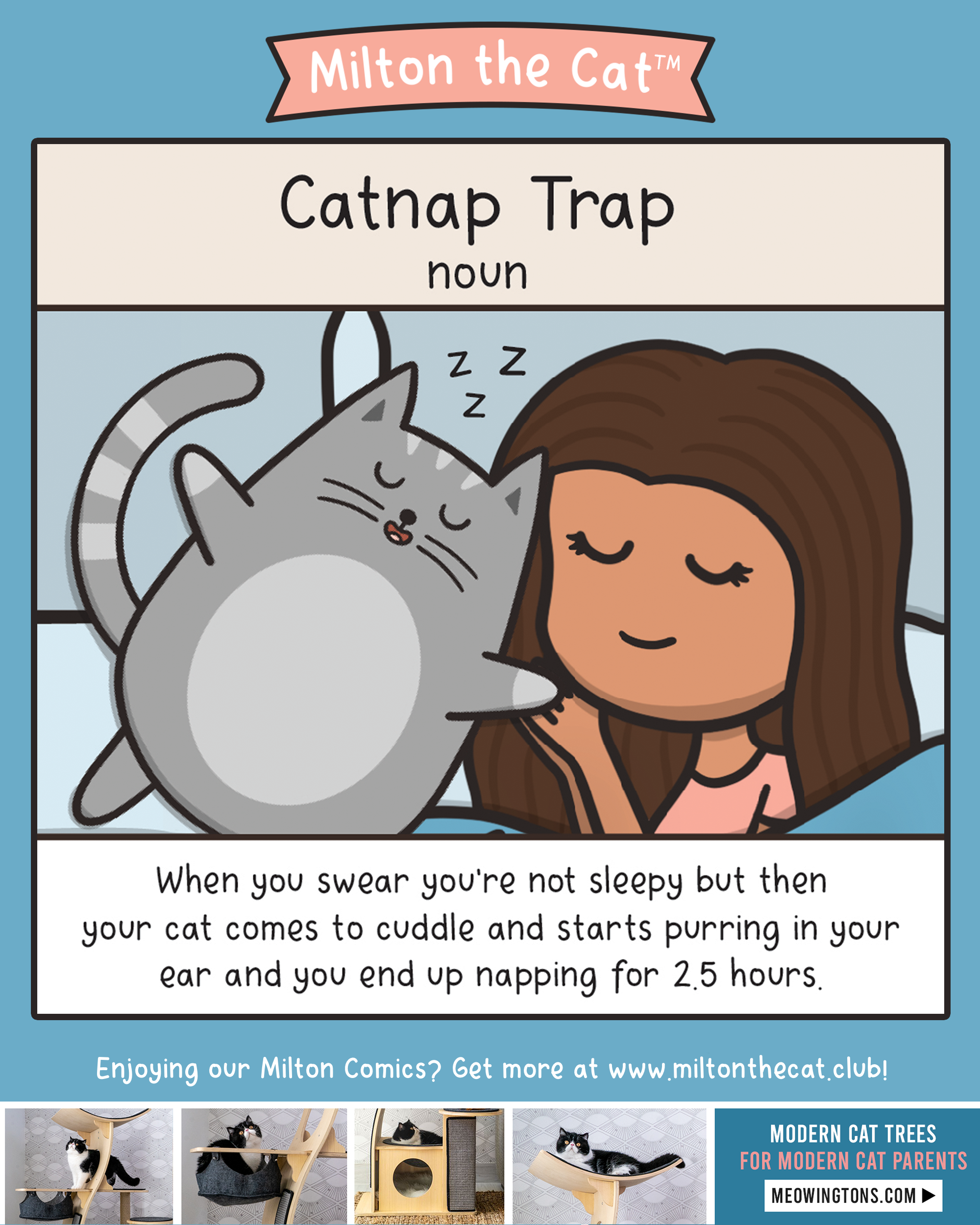 Define: Catnap Trap – Meowingtons