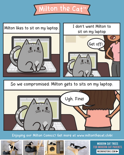 "Compromise"