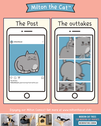 TBT: The Posts Vs The Outtakes