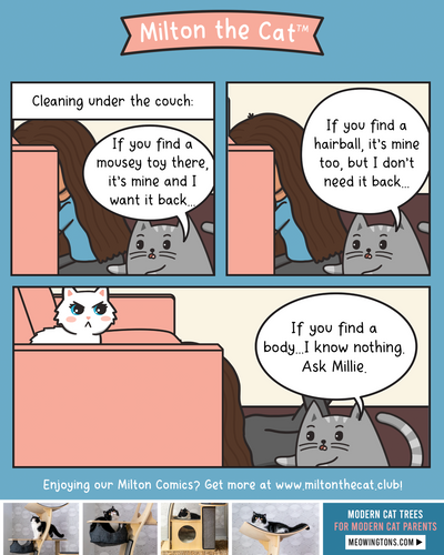 Don't ASK About What's Under The Couch
