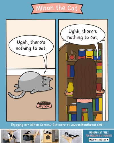 We're All Just Giant Cats