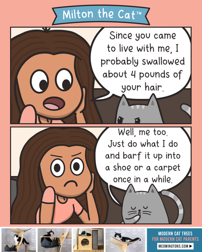 Hairball Woes