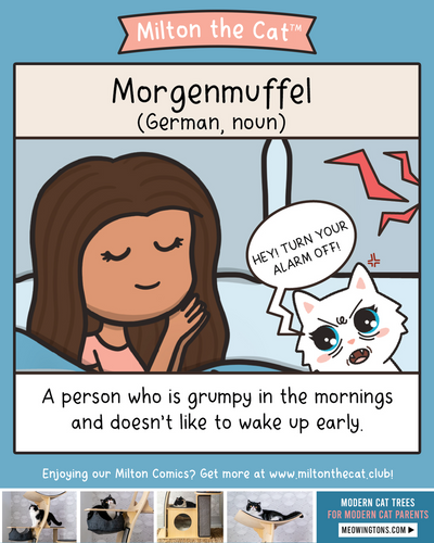 Morgenmuffel