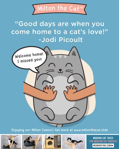 Wednesday Wisdom: Jodi Picoult