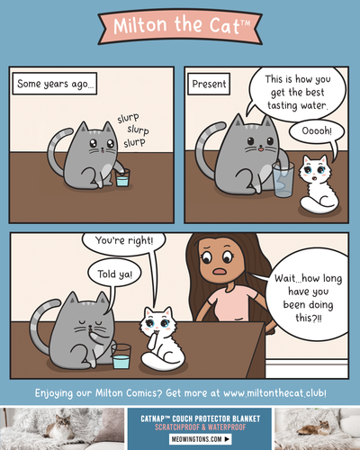 The Best-Tasting Water