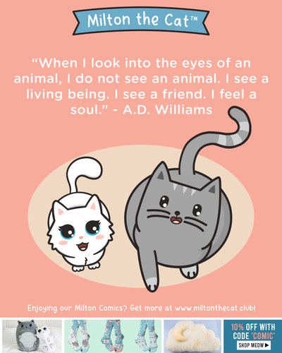 Wednesday Wisdom: An Animal's Eyes