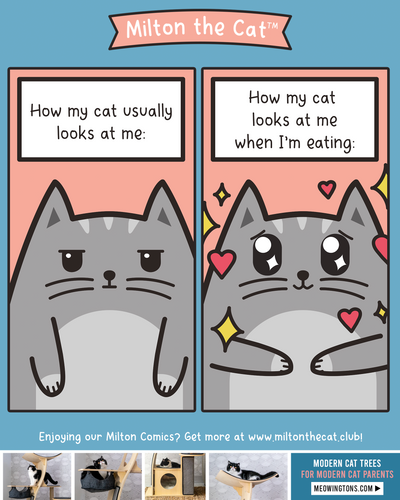 Can Has a Nibble?