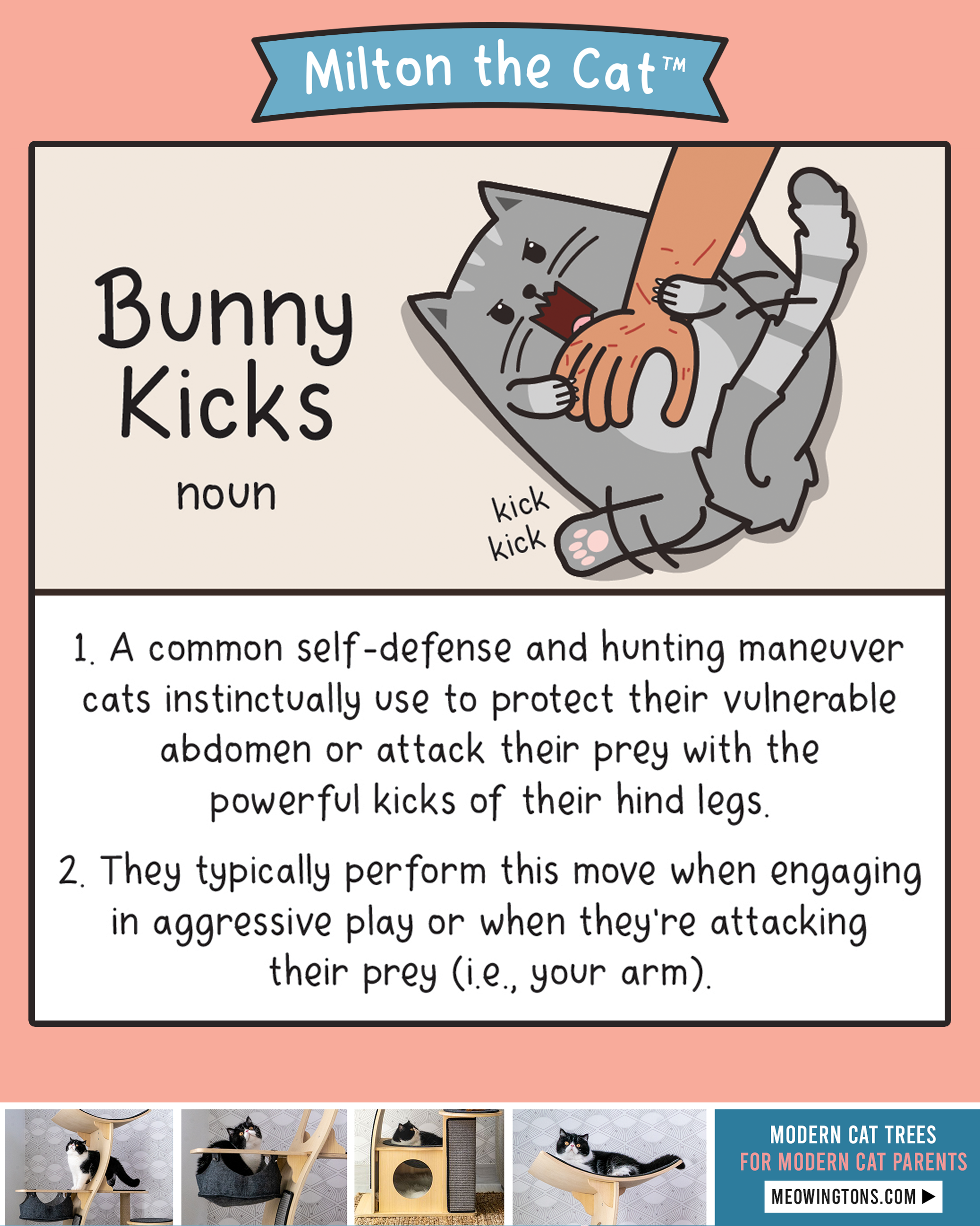 Bunny Kicks – Meowingtons