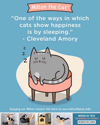 Wednesday Wisdom: