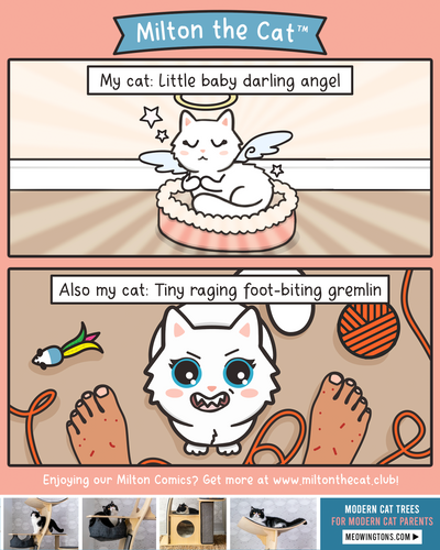So Small, Yet So Much Rage