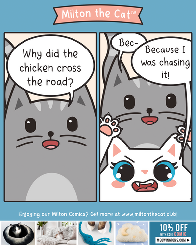 The Age Old Question