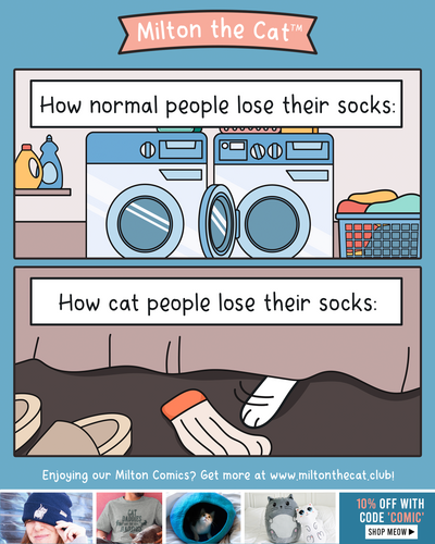 Cat People Vs Normal People: Socks