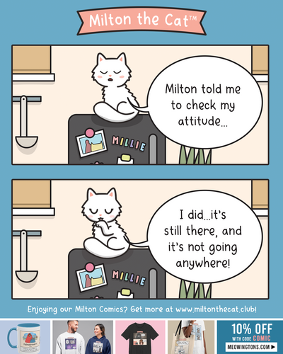 CATTITUDE