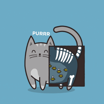 The Secret To a Cat's Purr