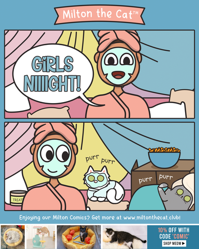 GIIIIIRL'S NIIIIIIGHT!